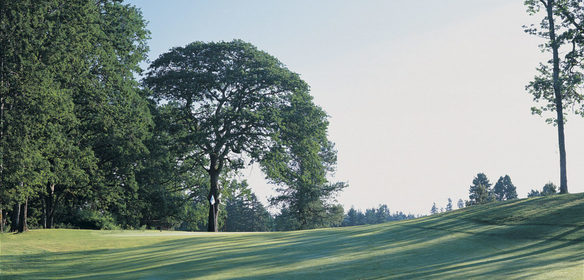 Williams Nine Golf Course Williams Nine at Meadow Park Golf Course | Par 3 & Executive Golf ...